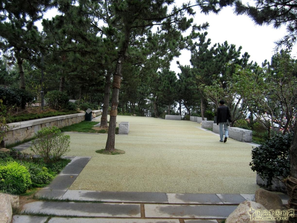 林蔭活動(dòng)場(chǎng)實(shí)景