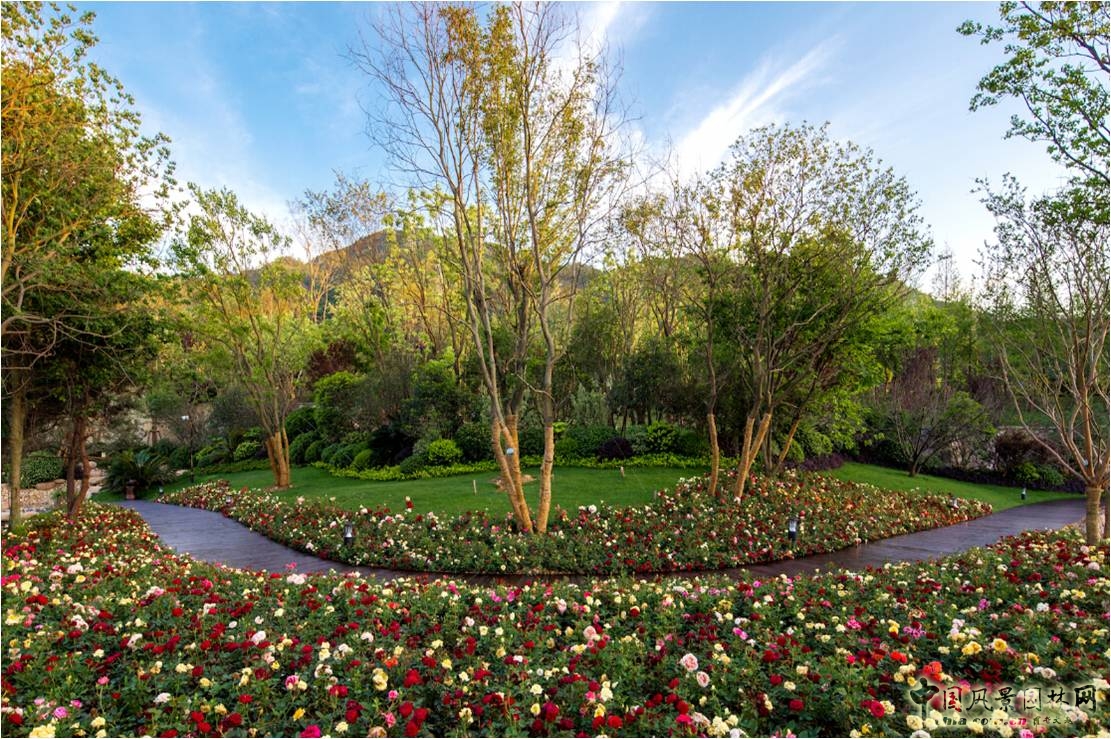 重慶緯圖項目展播：商城?綠谷云溪