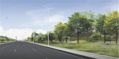 天津:官港森林公園重點提升出入口的綠化