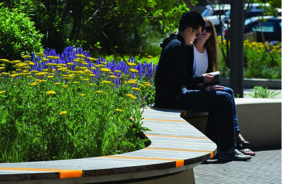 麻省藝術與設計學院宿舍樓前小廣場設計