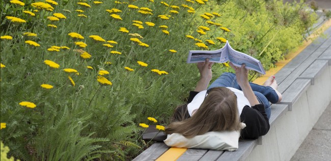 麻省藝術與設計學院宿舍樓前小廣場設計