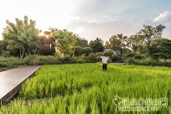 泰國Saraburi市Ming Mongkol綠色公園景觀設(shè)計