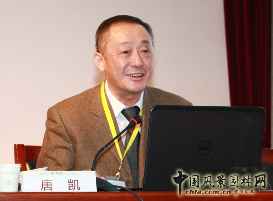 唐凱：提高城市發展的宜居性