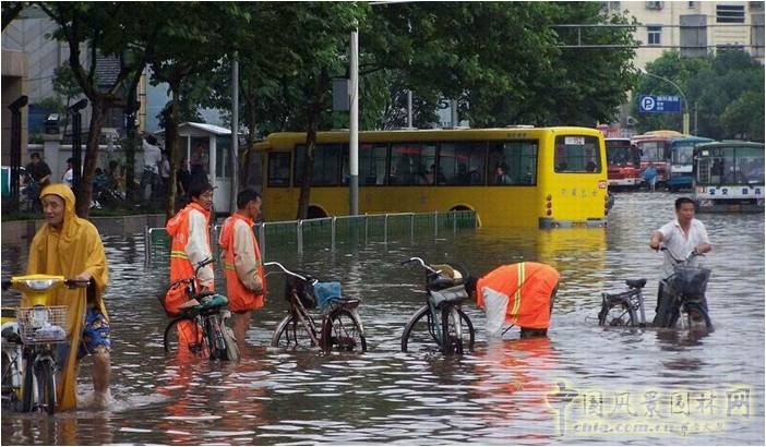 成玉寧：因地制宜的海綿城市理論與實踐