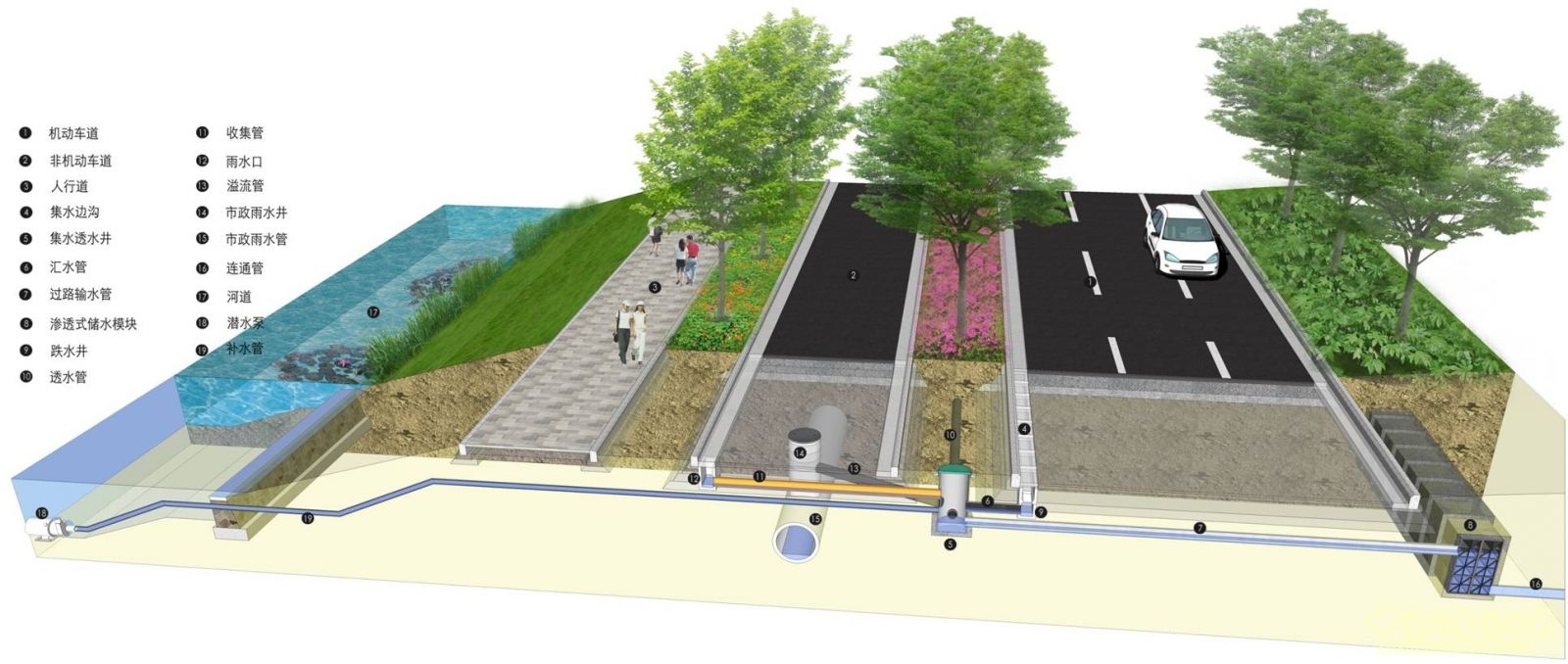 成玉寧：因地制宜的海綿城市理論與實踐