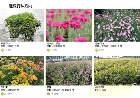 郭建梅：節(jié)水園林——蒙草遇上節(jié)水的時(shí)代