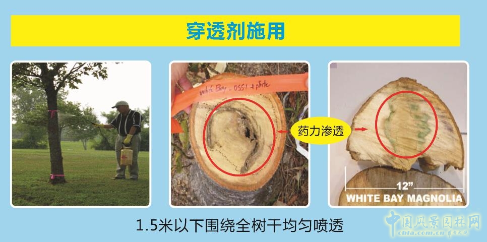 諾普信參加第18屆中國(guó)國(guó)際花卉園藝展覽會(huì)完美收官