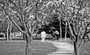 北京總規(guī)首次轉為減量 倒逼城市功能調整