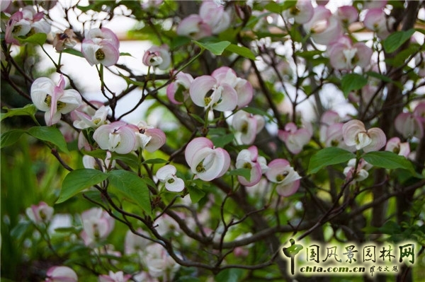 倫敦Crossrail車站屋頂花園景觀設(shè)計