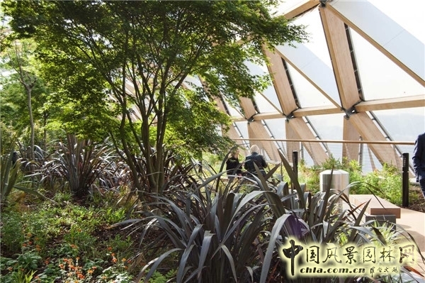 倫敦Crossrail車站屋頂花園景觀設(shè)計