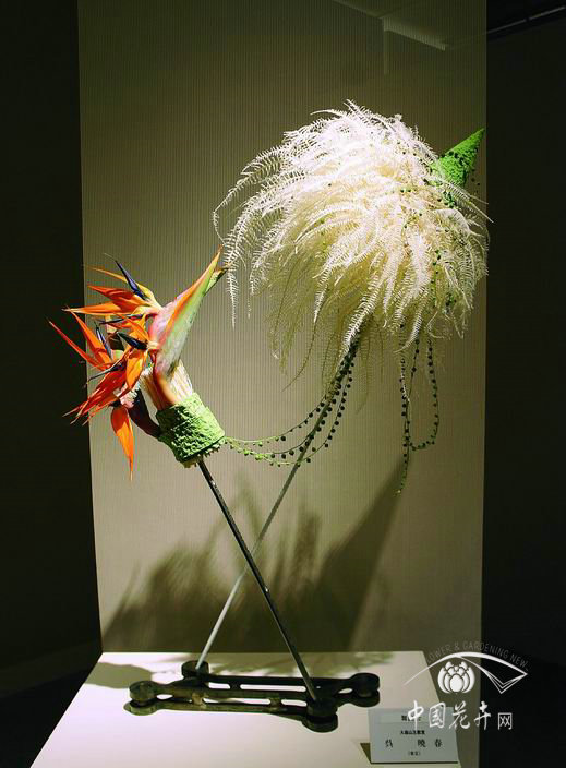 日本2016MAMI花藝設(shè)計(jì)展 凸顯“生活有道” 