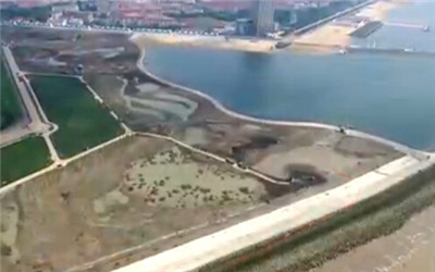 上海首個濱海濕地公園“鸚鵡洲”濕地公園開工建設