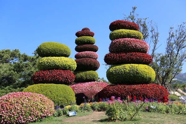 2014青島世園會(huì)立體花壇圖片賞析
