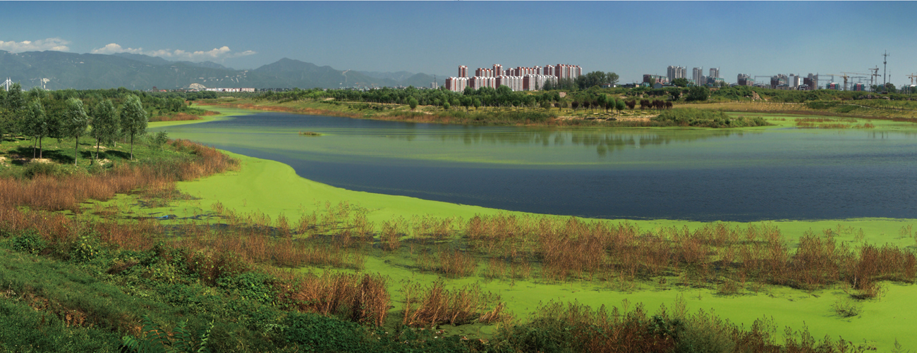北京昌平新城萬(wàn)畝濱河森林公園規(guī)劃設(shè)計(jì)