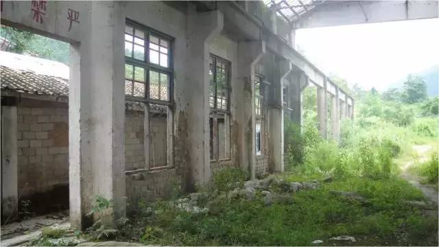 民宿設計：霸王嶺雨林老屋酒店改造項目
