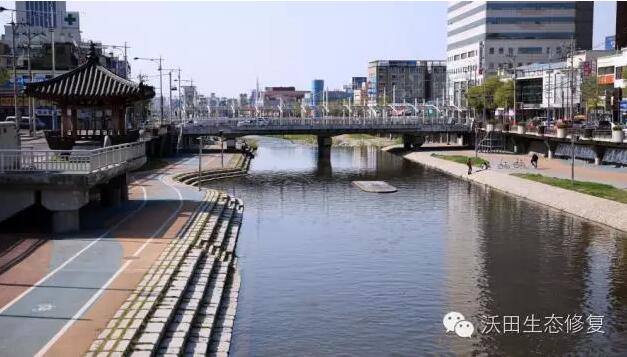 韓國兩個河流生態(tài)恢復(fù)案例