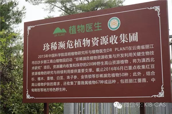 “珍稀瀕危植物資源收集圃”在麗江高山植物園揭牌
