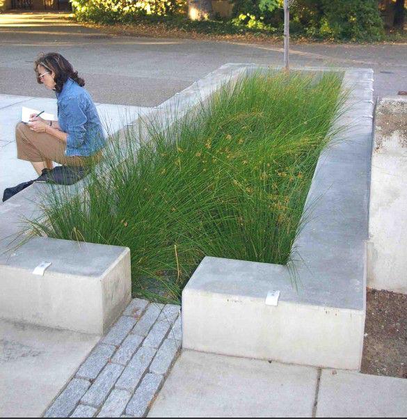 美國雨洪管理發(fā)展沿革及趨勢