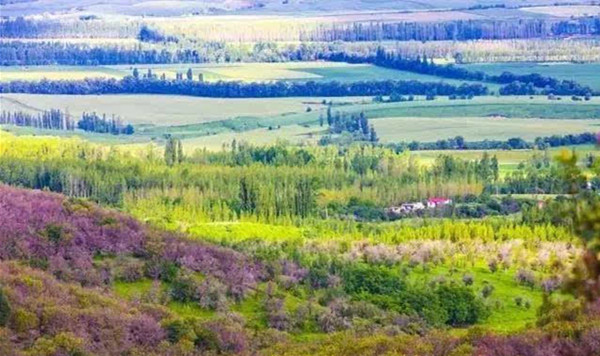 評論：文旅小鎮如何打造成功？