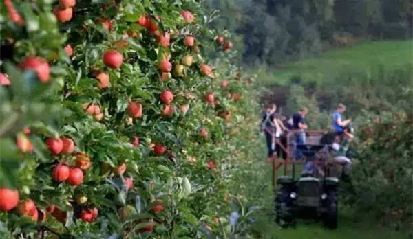 評論：文旅小鎮如何打造成功？