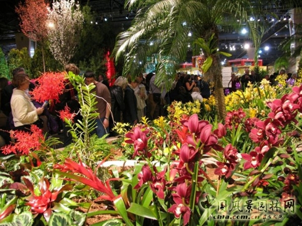 走近美國(guó)費(fèi)城花展