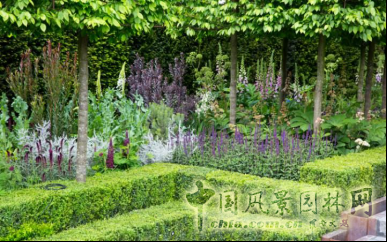 2016英國(guó)切爾西花展銀鍍金獎(jiǎng)作品賞析