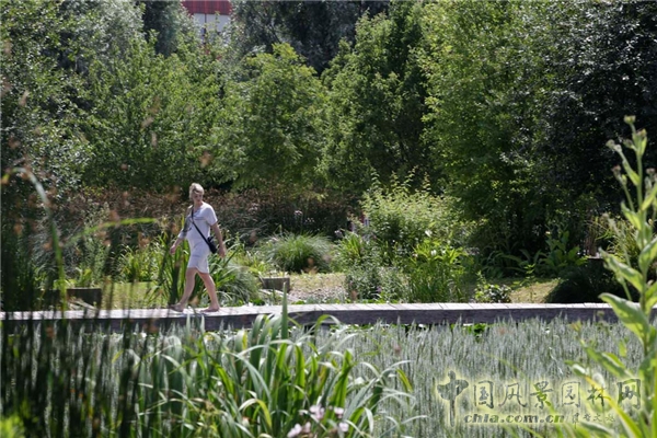 【8月23日頭條】法國(guó)LE PARC DU CHEMIN DE L’ILE濱水公園