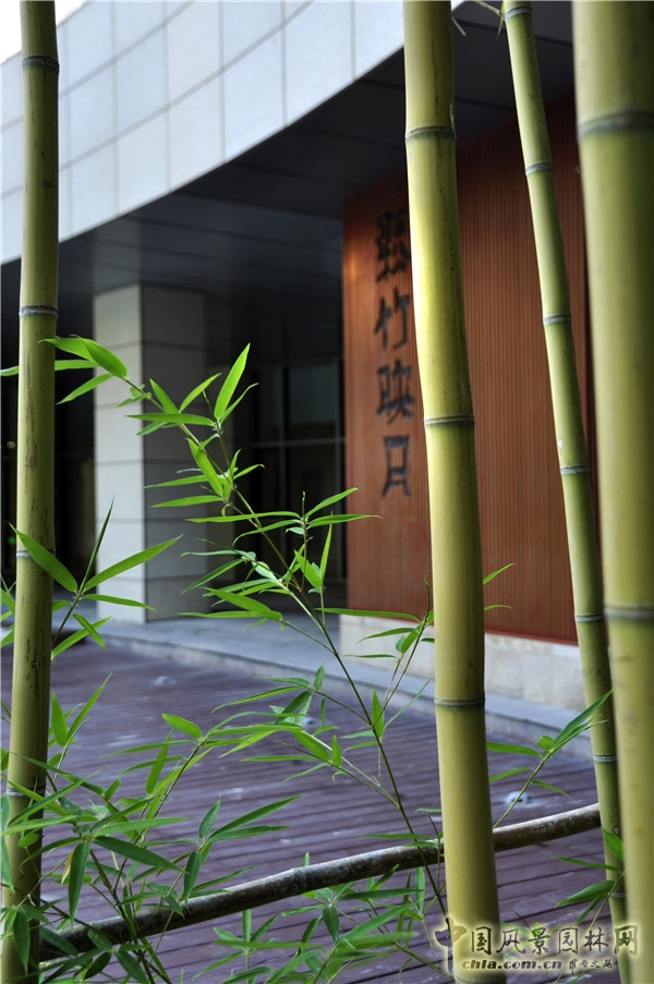 郭麗文：北大國際醫(yī)院園林的傳統(tǒng)文化特色