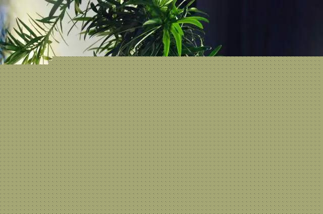 墨爻盆景作品：山澗初醒 谷音回蕩——《山澗聽谷》