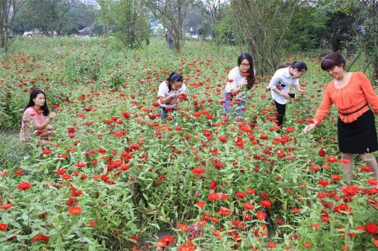 四川首個“中國農業公園”落戶成都溫江