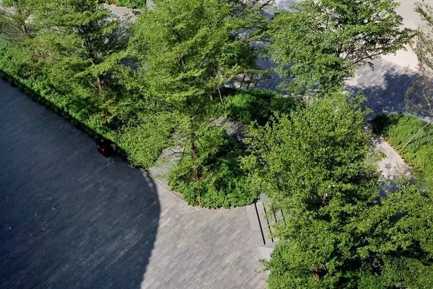 極簡主義風格的景觀設計