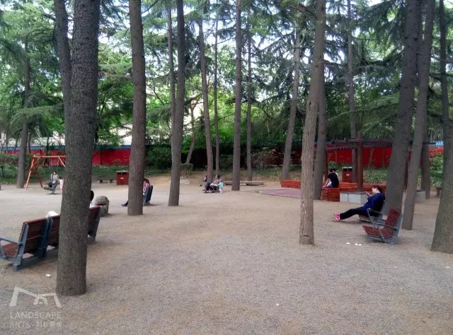 西安最好的園子考察筆記（中）