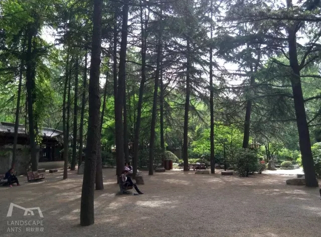 西安最好的園子考察筆記（中）