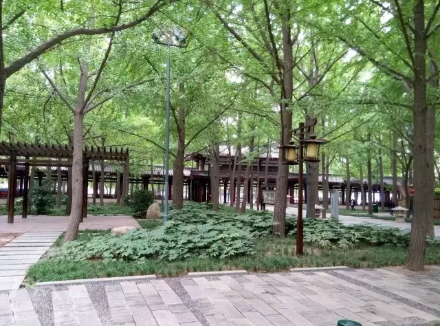 西安最好的園子考察筆記（下）