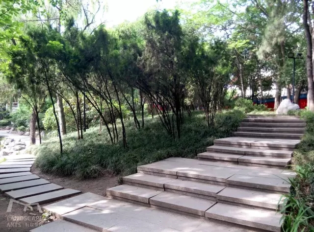 西安最好的園子考察筆記（下）