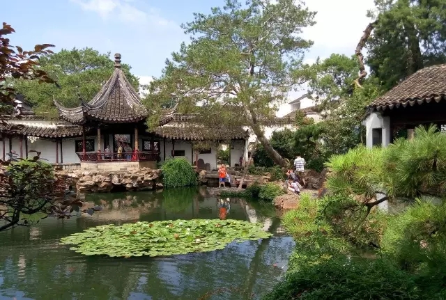 國外名氣最大的園林—網(wǎng)師園