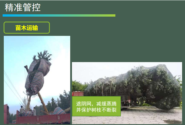 景觀工程施工管理經(jīng)驗(yàn)分享