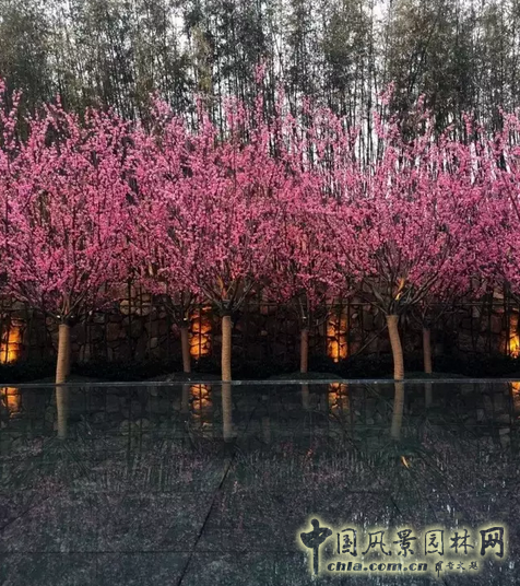 2016園冶杯專業(yè)獎參賽項(xiàng)目：北辰旭輝壹號院