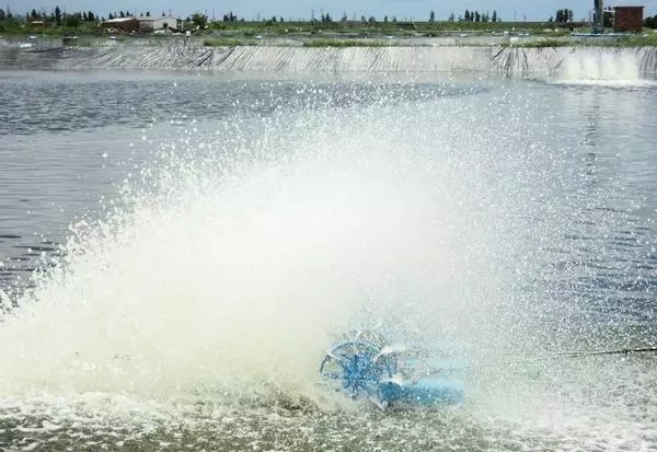 河道景觀中六大生態修復技術，你知道嗎？