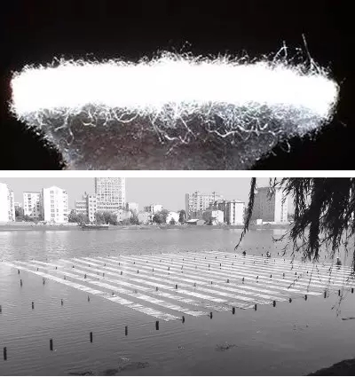 河道景觀中六大生態(tài)修復(fù)技術(shù)，你知道嗎？