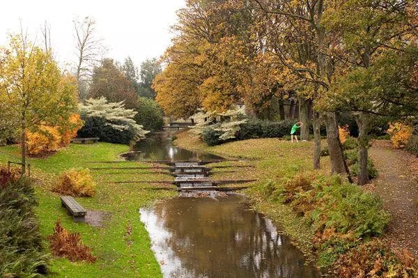 景觀設計到底都能干些啥？