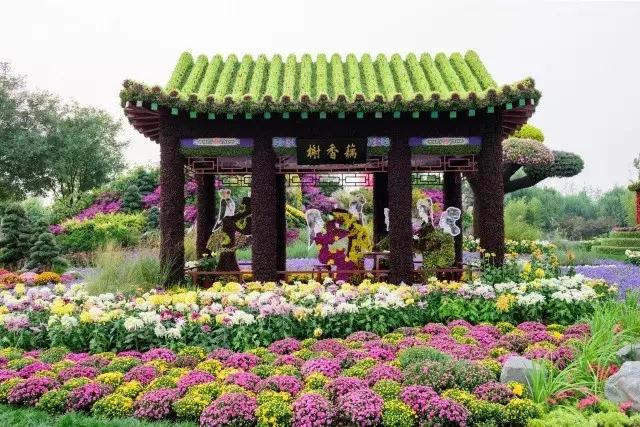 北京花木公司：圓滿(mǎn)完成唐山世園會(huì)國(guó)際精品菊花展工作