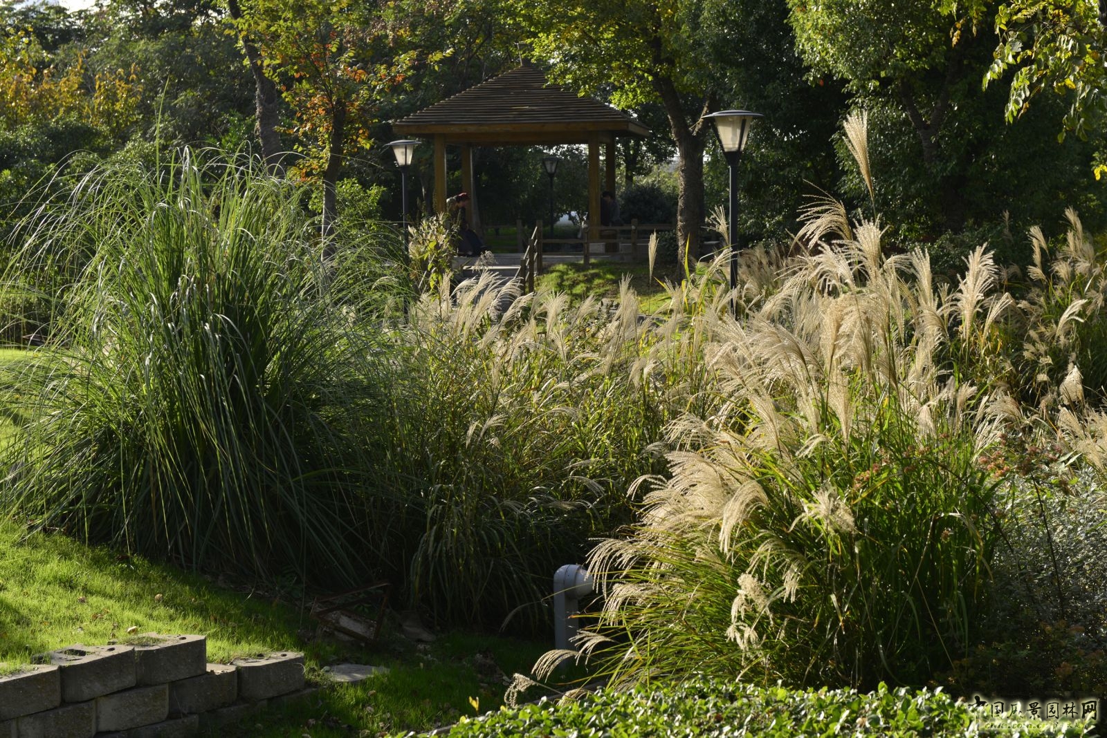 2016園冶杯專業獎參賽項目：無錫新區前進路伯瀆港濱水公園景觀設計
