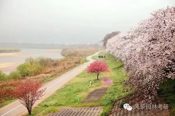 景觀設計中地形高差處理不會？看過來！