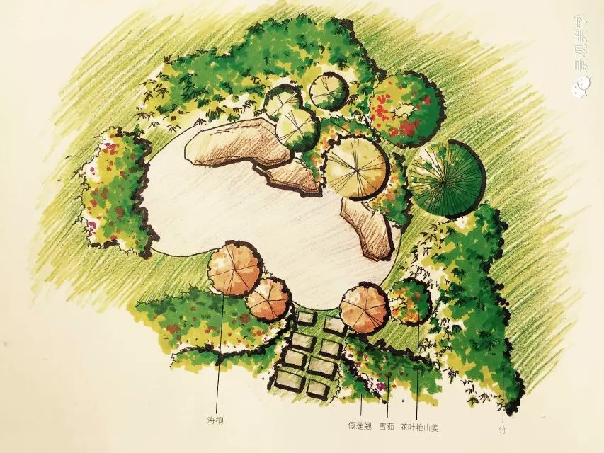 快速設計植物設置