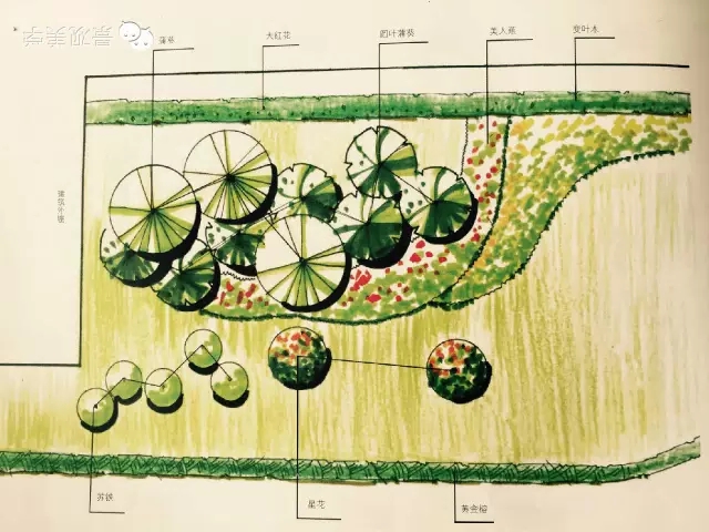 快速設計植物設置