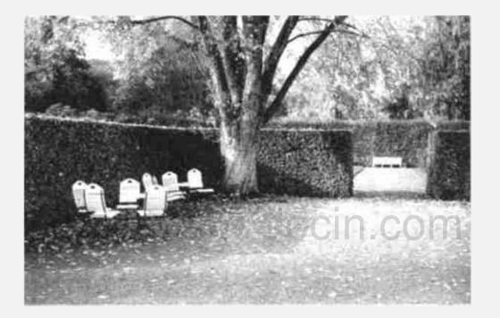 新藝術運動中的園林設計