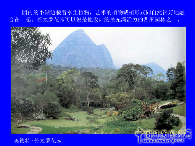 拉丁美洲的景觀設計