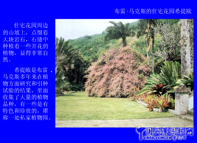 拉丁美洲的景觀設計