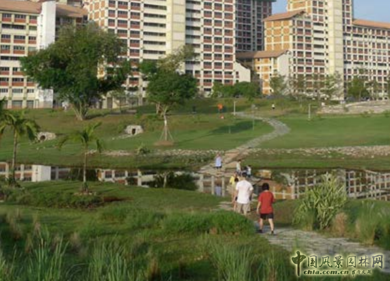 【園冶講壇】王才強(qiáng)：城市中的藍(lán)與綠